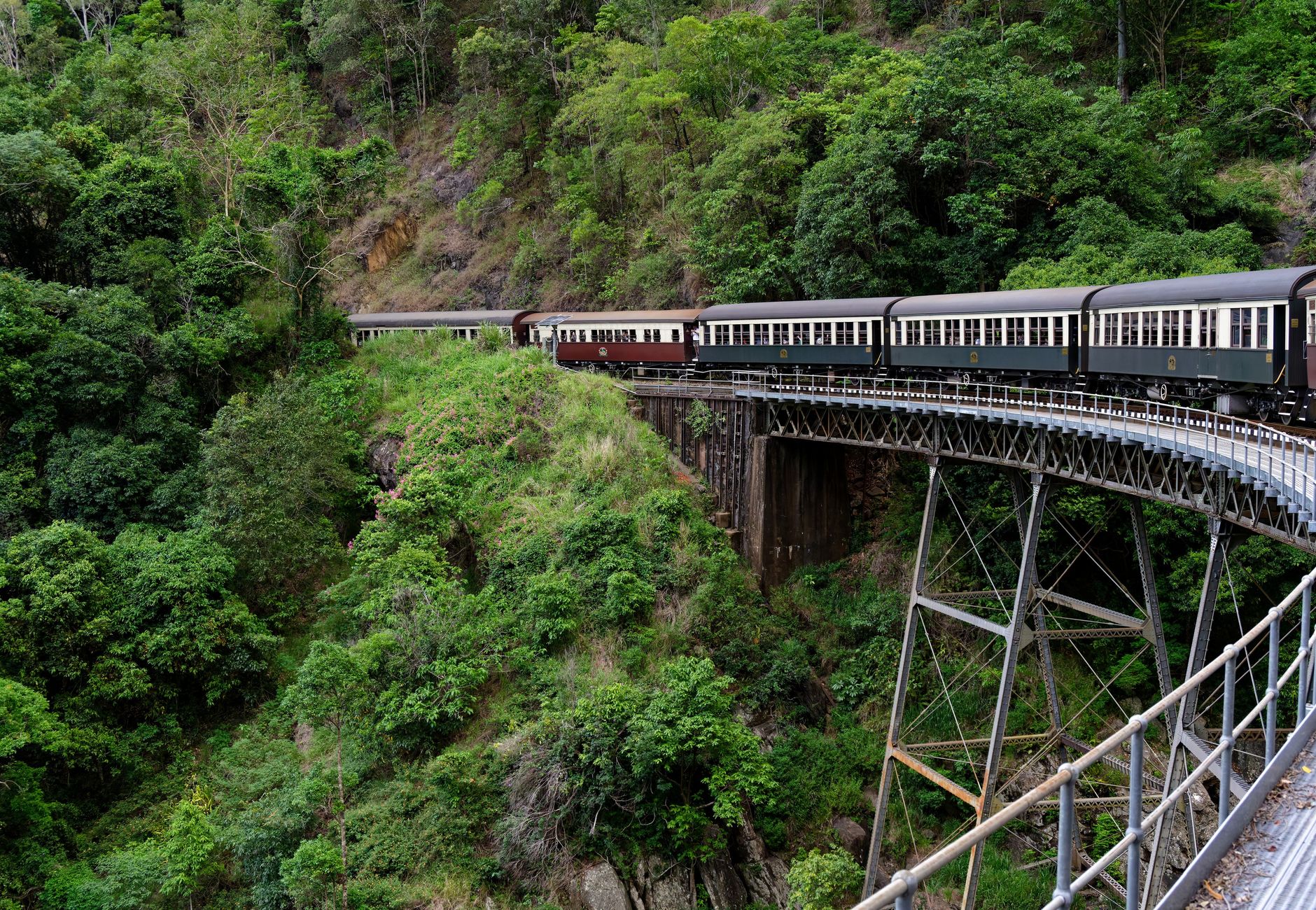 A historic train travels across the lush green landscape of Kuranda Scenic Railway in Australia.