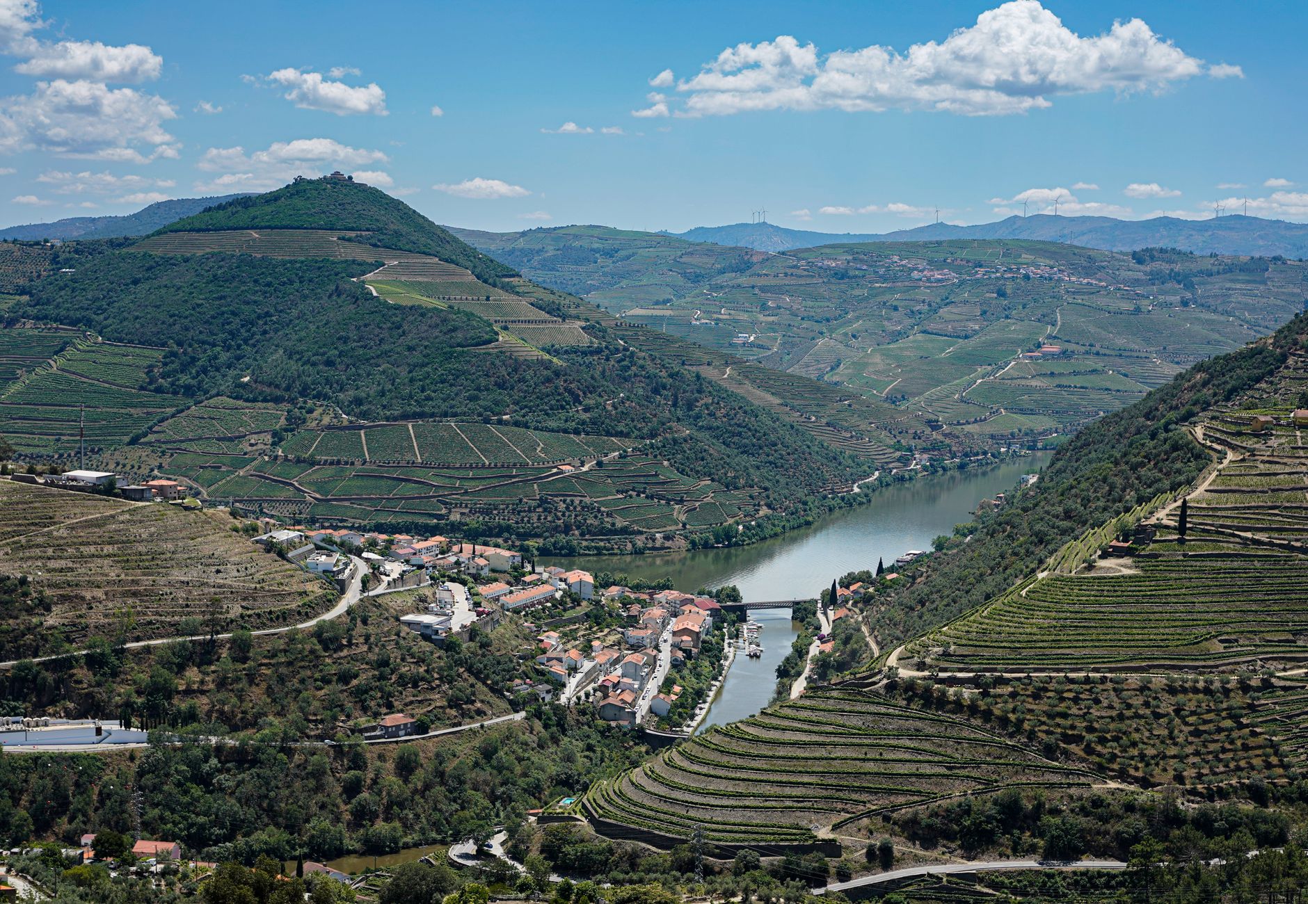 Scenic aerial view of Douro Valley vineyards and river, Portugal's wine region.